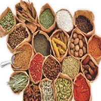 蒸发光散射检测法在中药领域蕴藏极大的效用